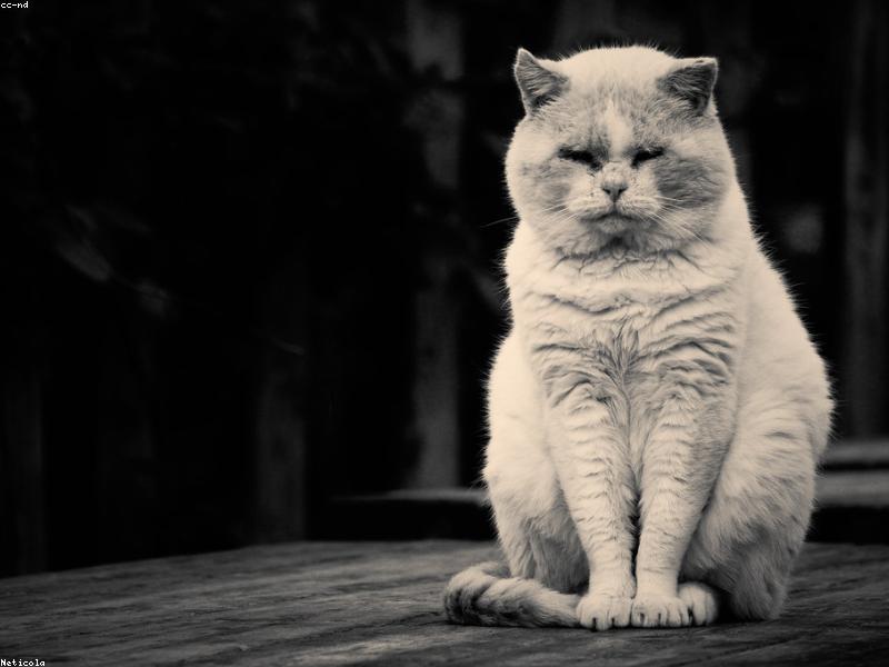 Blog Post illustration