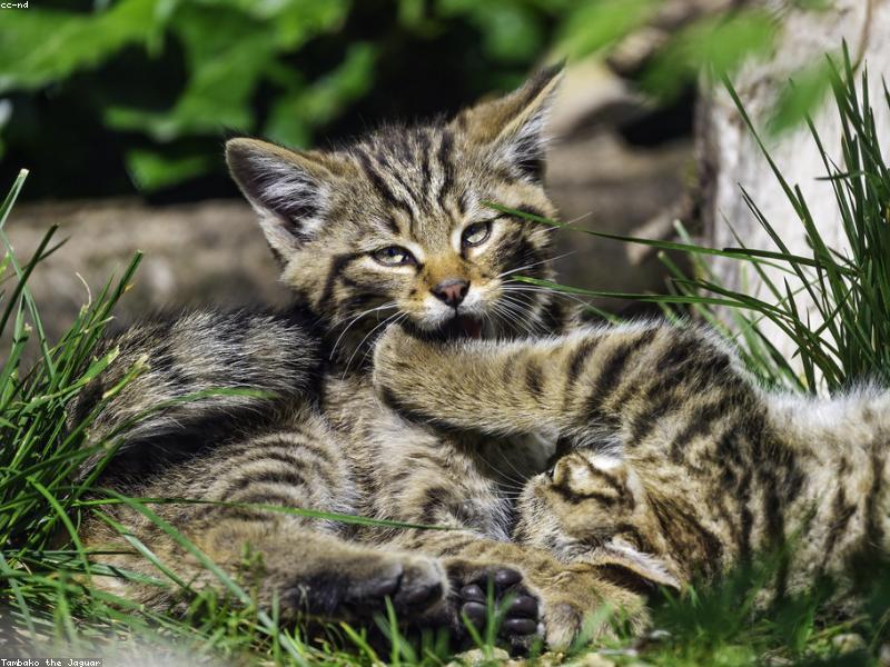 Blog Post illustration