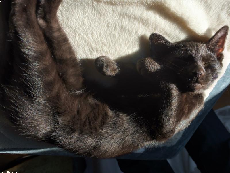 Blog Post illustration