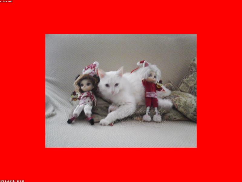 Blog Post illustration