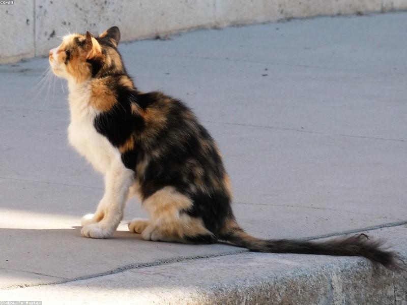 Blog Post illustration