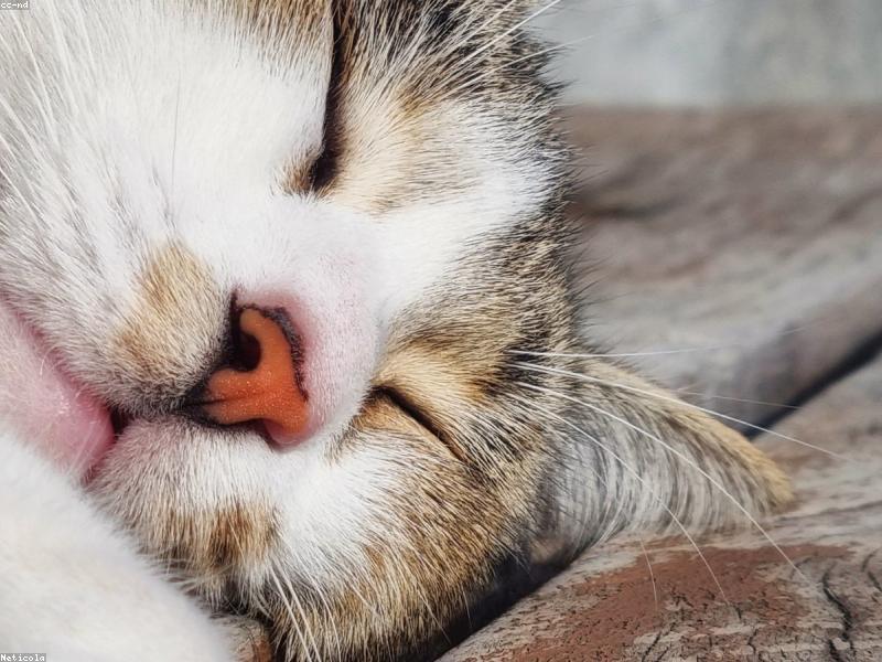 Blog Post illustration