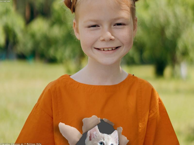 Blog Post illustration