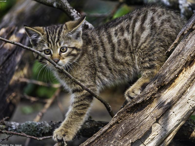 Blog Post illustration