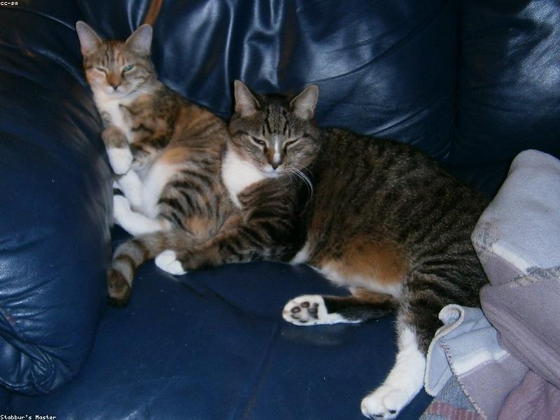 Blog Post illustration