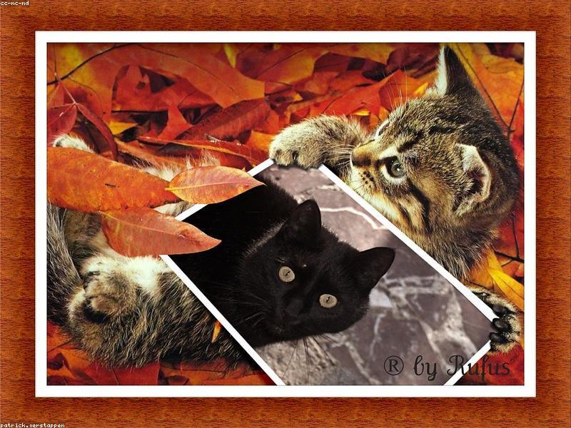 Blog Post illustration