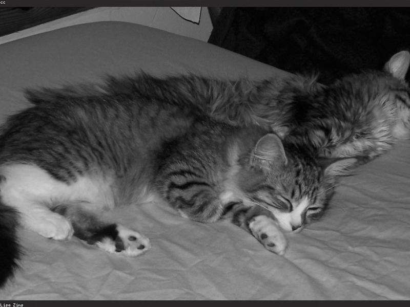 Blog Post illustration