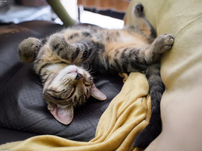 Blog Post illustration