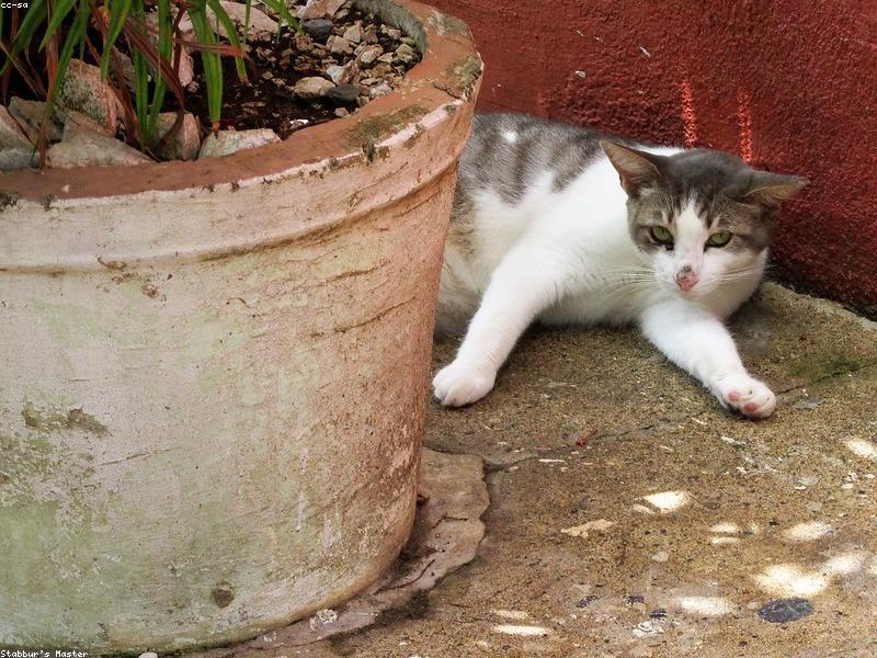 Blog Post illustration