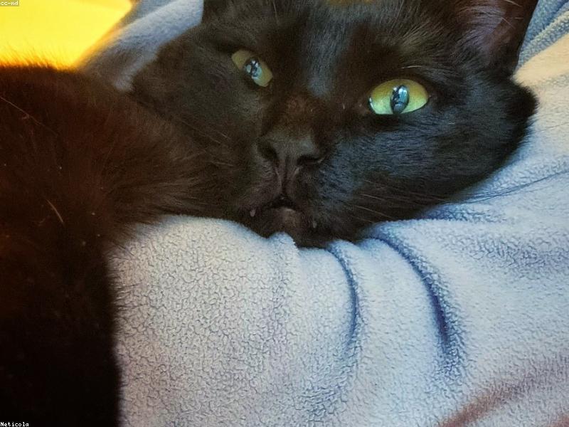 Blog Post illustration