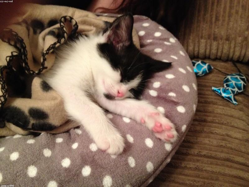 Blog Post illustration