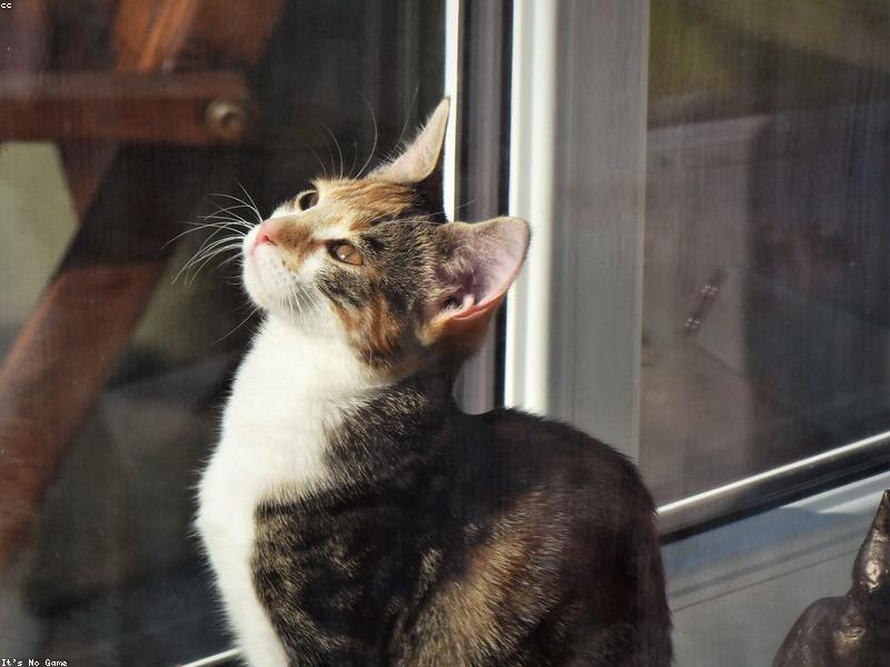 Blog Post illustration